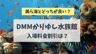 【DMMかりゆし水族館】入場料金割引はあるの？美ら海水族館とどっちがおすすめ？