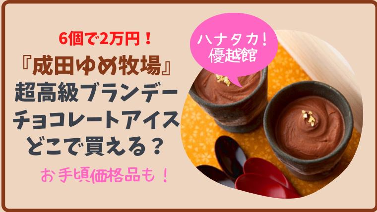 【ハナタカ】成田ゆめ牧場の6個で2万円のブランデーチョコレートアイスはどこで買える？通販は