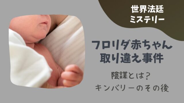 航空機に時限爆弾事件のネタバレ 乗客293人を救うために機長がとった緊急着陸の方法とは とまとまり木